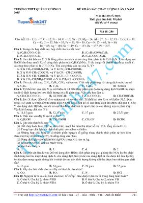 Đề khảo sát chất lượng lần 1 năm 2015 môn thi Hoá Học - Mã đề 256